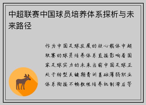 中超联赛中国球员培养体系探析与未来路径