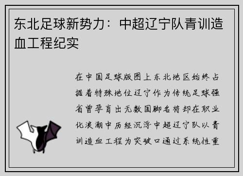 东北足球新势力：中超辽宁队青训造血工程纪实