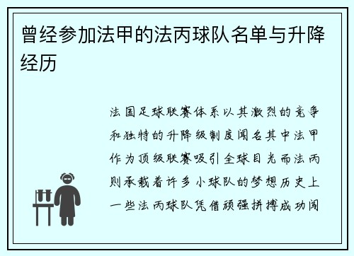 曾经参加法甲的法丙球队名单与升降经历